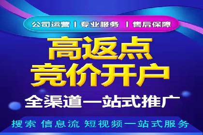 百度SEM与竞价排名策略的深度结合案例